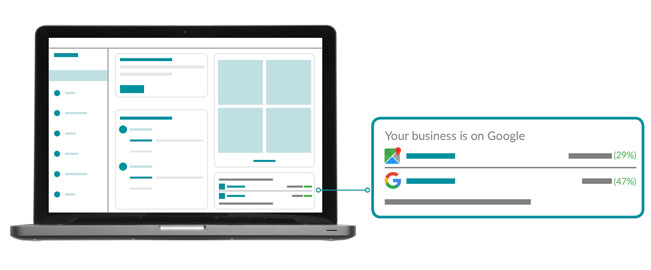 Google Business Profile Insights