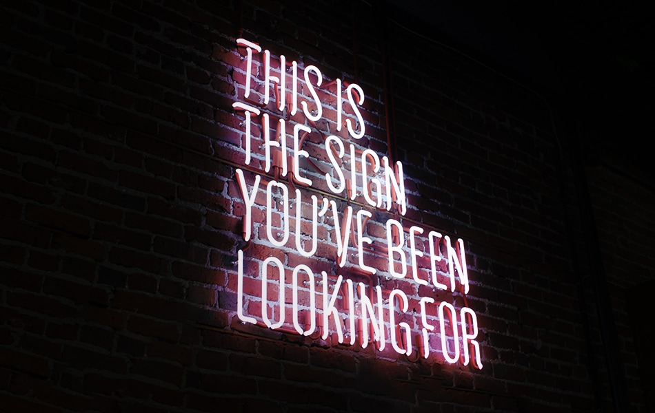 a neon sign sits on a dark brick wall with the text 'this is the sign you've been looking for'