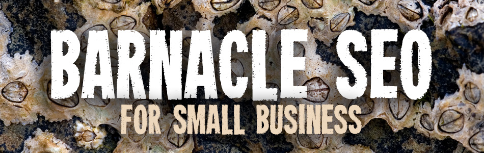 The Use of “Barnacle SEO” for Small Business